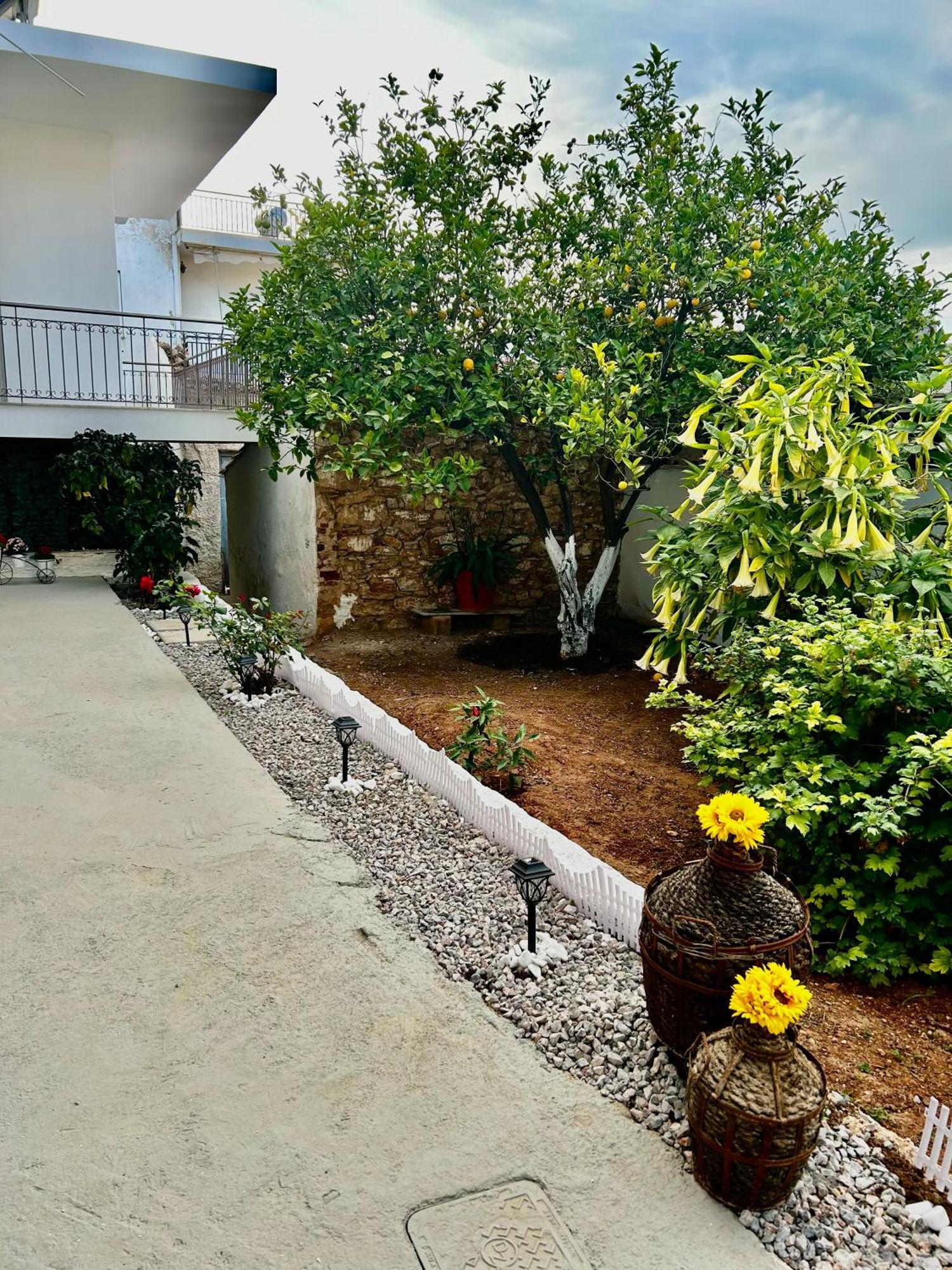 Flower House In Koropi-Near Airport Esterno foto